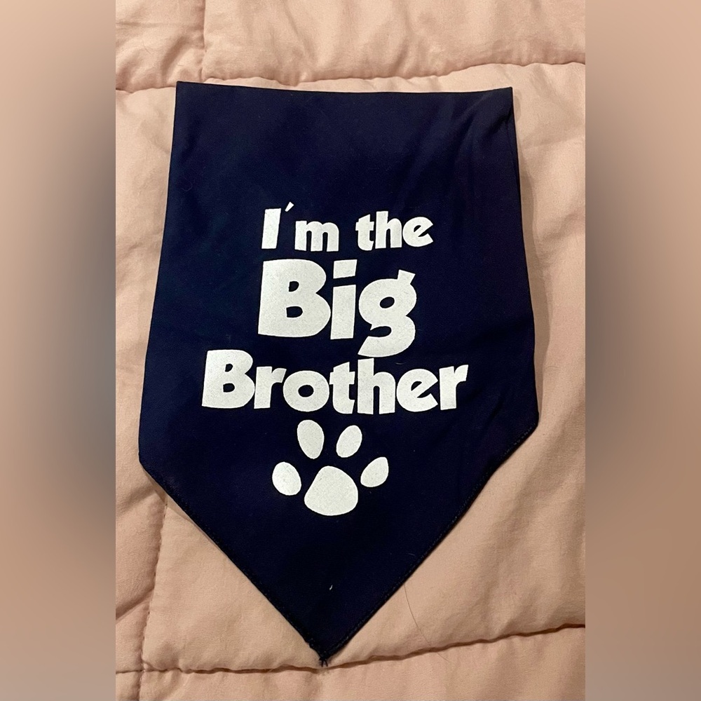 Set of big brother bandanas for pet dog